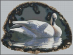 (image for) Pure Elegance